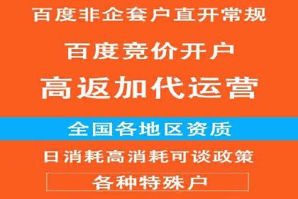 SEM专员案例：跨平台广告投放策略